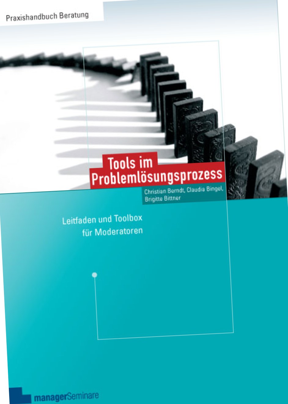 Buchcover: Tools im Problemlösungsprozess